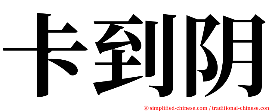 卡到阴 serif font