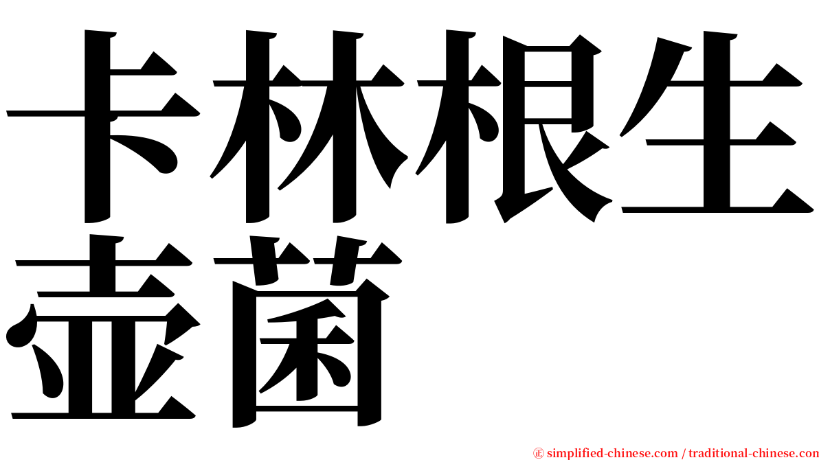 卡林根生壶菌 serif font