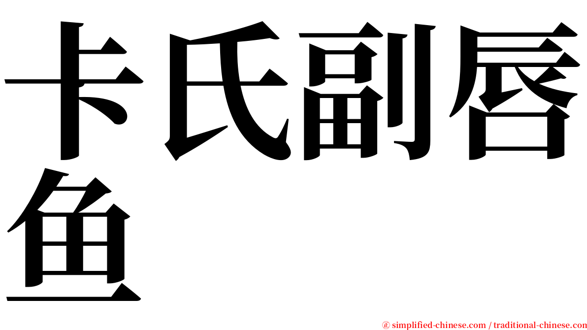 卡氏副唇鱼 serif font