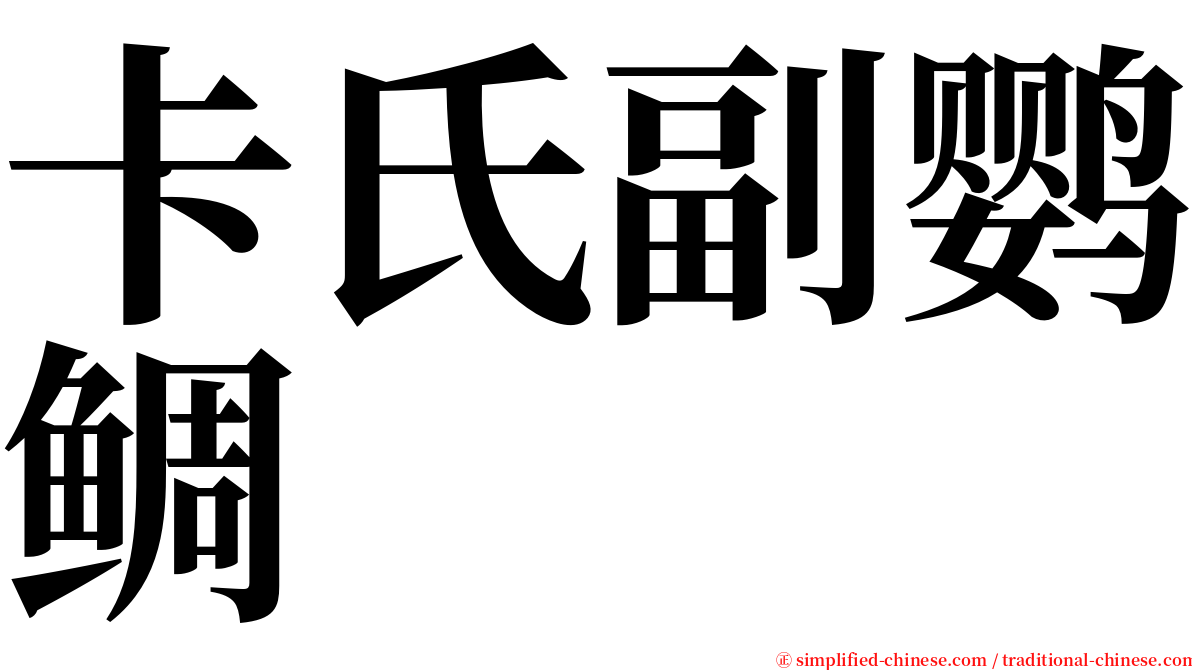 卡氏副鹦鲷 serif font