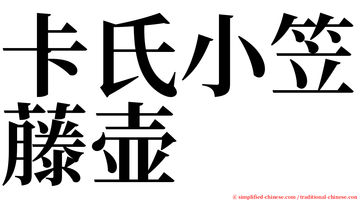 卡氏小笠藤壶 serif font