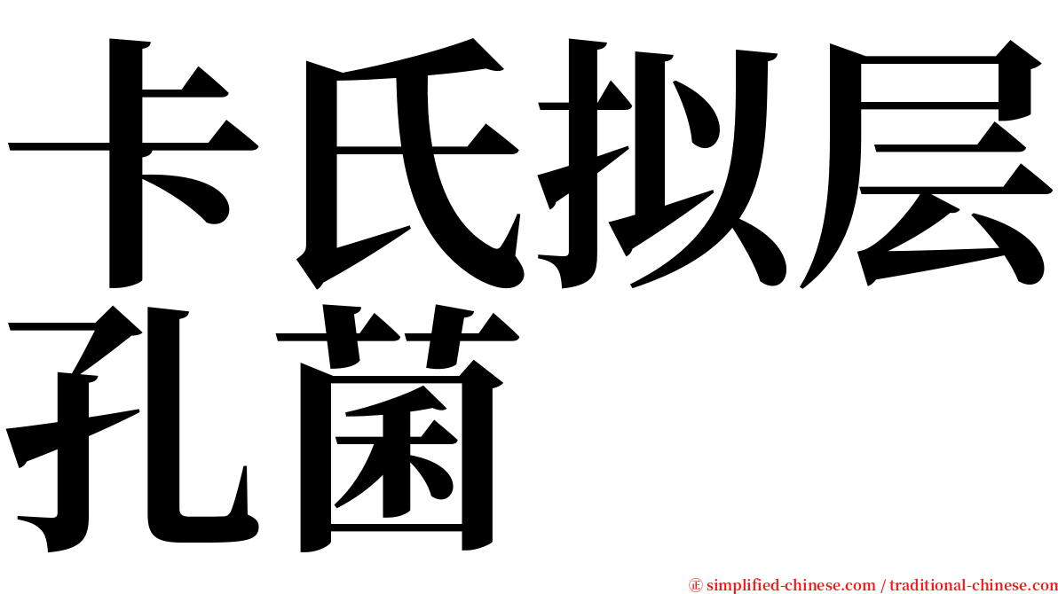 卡氏拟层孔菌 serif font