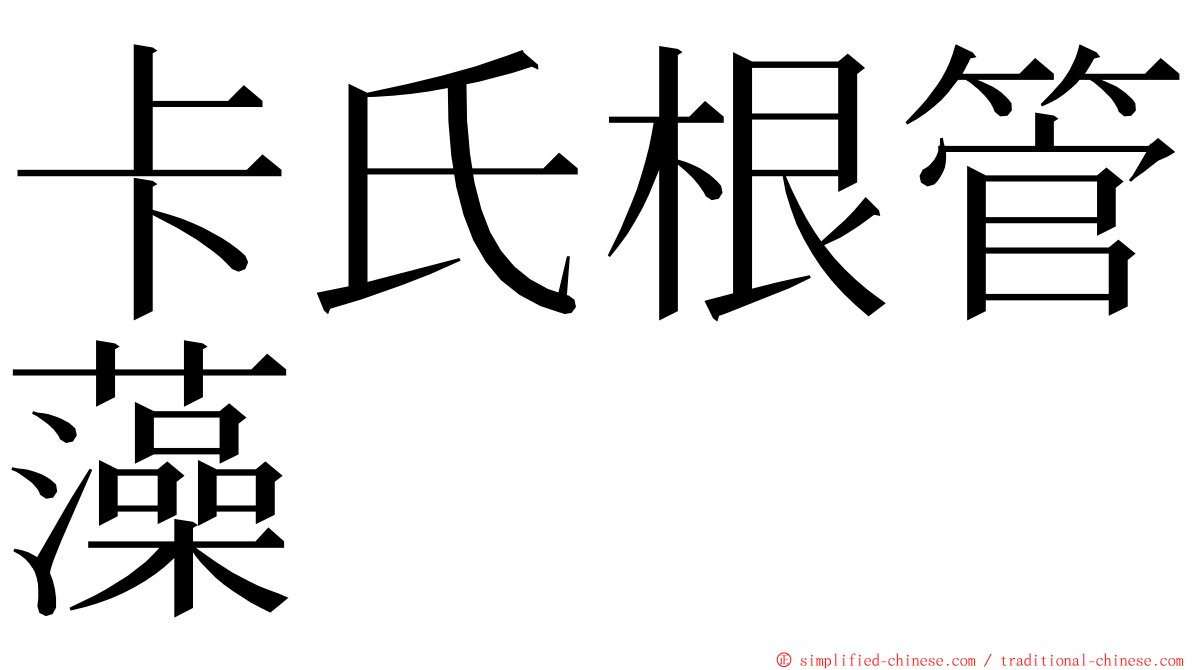 卡氏根管藻 ming font