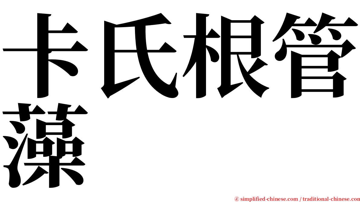 卡氏根管藻 serif font