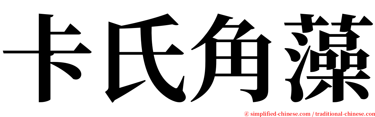 卡氏角藻 serif font