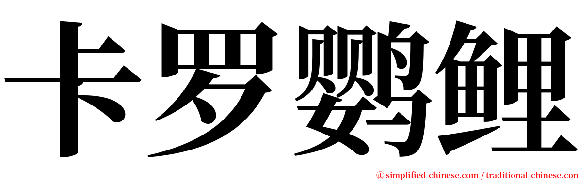 卡罗鹦鲤 serif font