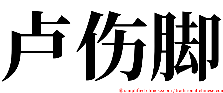 卢伤脚 serif font