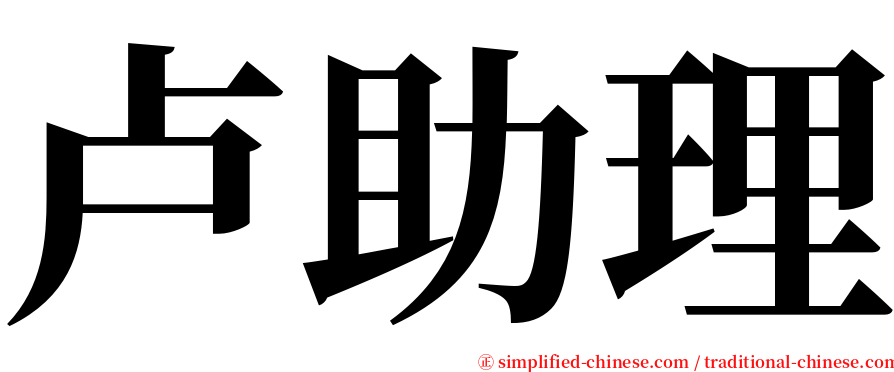 卢助理 serif font