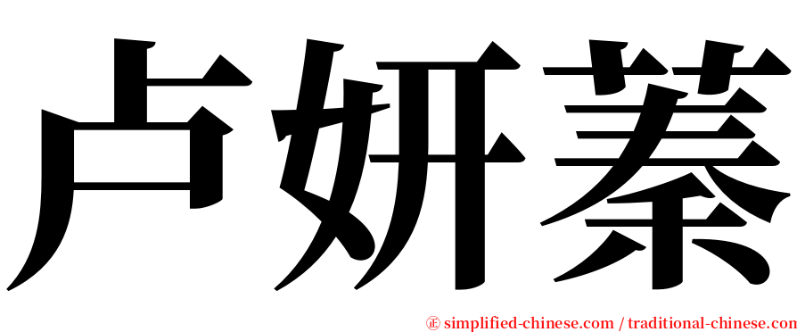 卢妍蓁 serif font