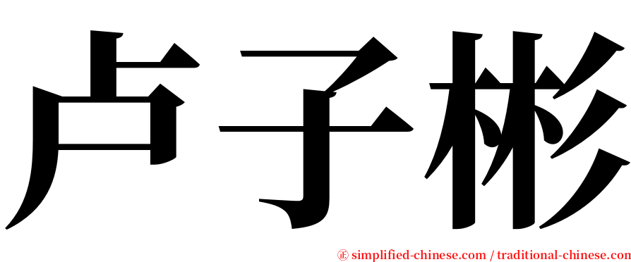 卢子彬 serif font