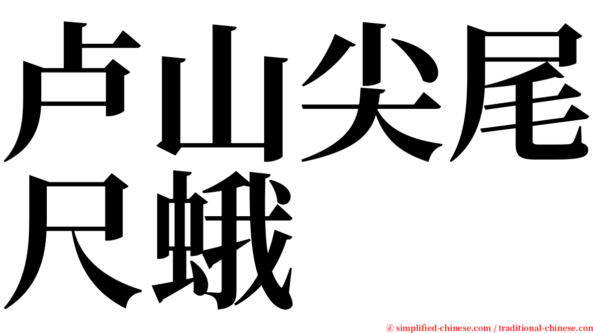 卢山尖尾尺蛾 serif font