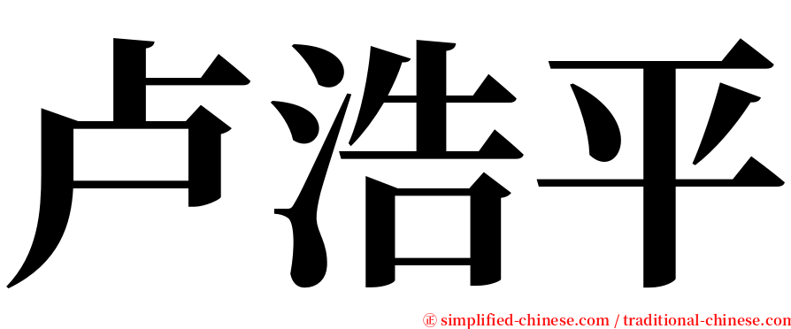 卢浩平 serif font