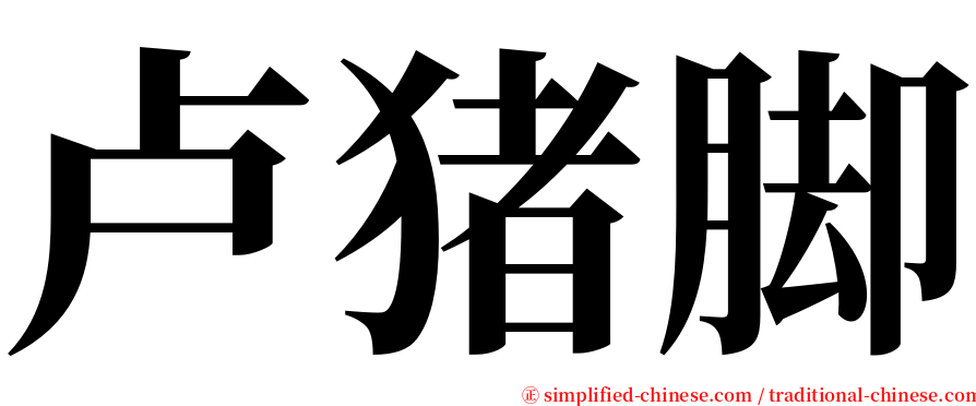 卢猪脚 serif font