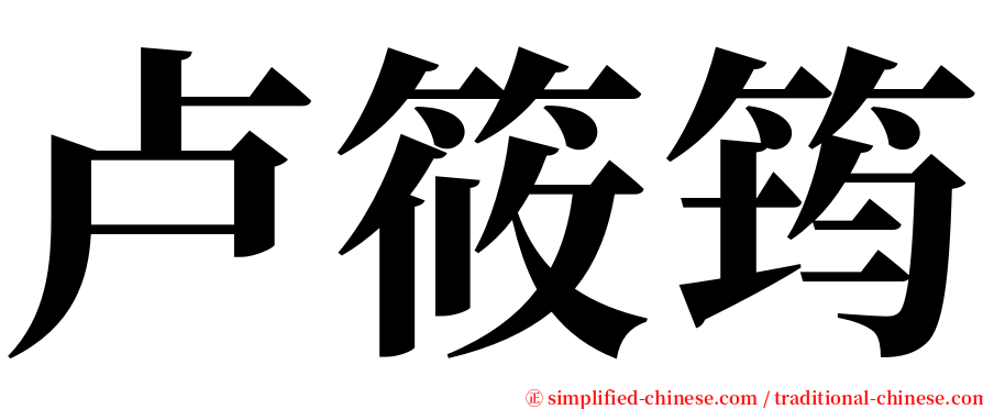 卢筱筠 serif font