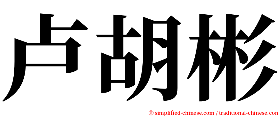 卢胡彬 serif font