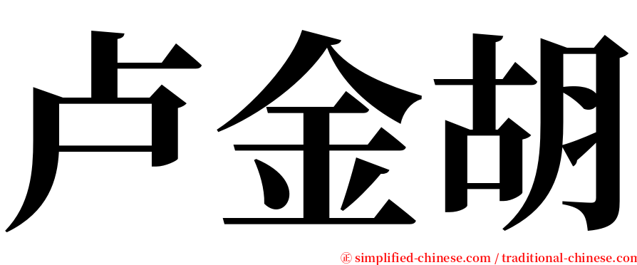 卢金胡 serif font