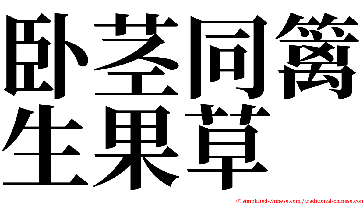 卧茎同篱生果草 serif font