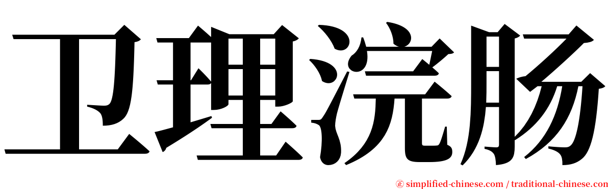 卫理浣肠 serif font