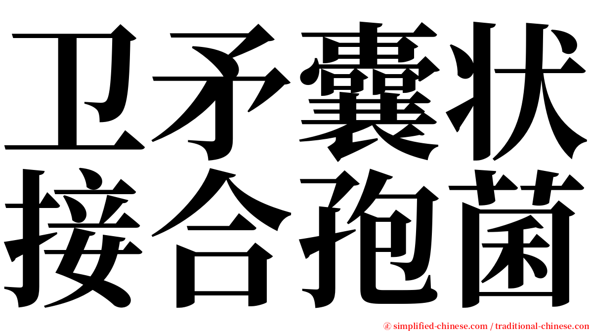 卫矛囊状接合孢菌 serif font