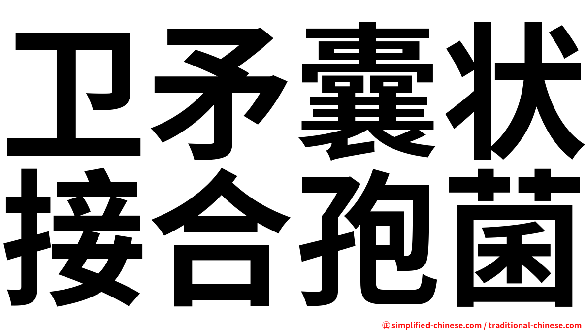 卫矛囊状接合孢菌