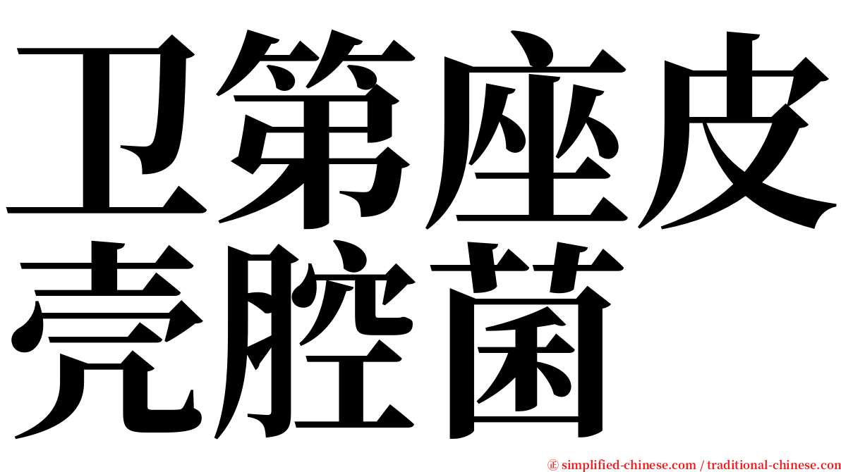 卫第座皮壳腔菌 serif font