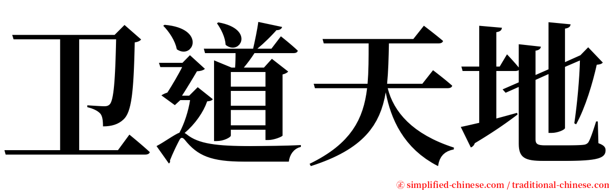 卫道天地 serif font