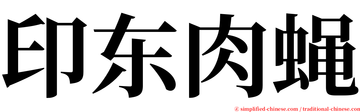 印东肉蝇 serif font