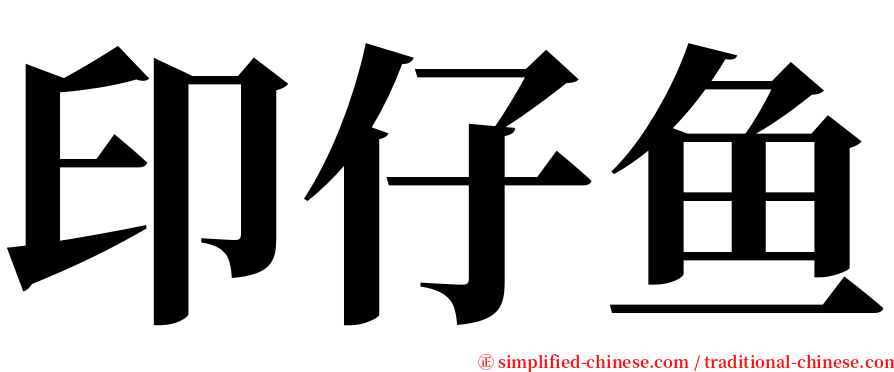 印仔鱼 serif font