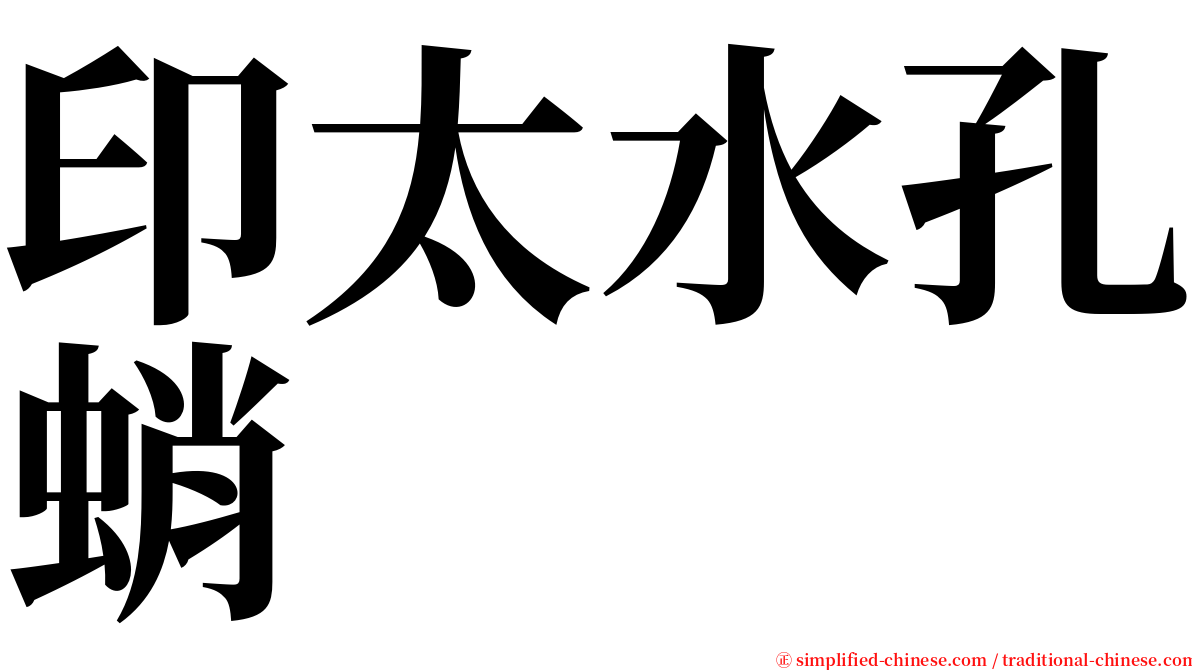 印太水孔蛸 serif font