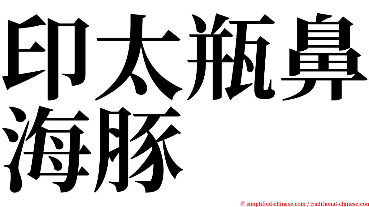 印太瓶鼻海豚 serif font