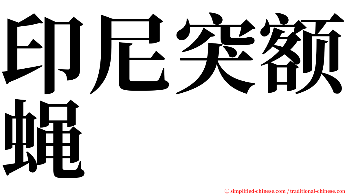 印尼突额蝇 serif font