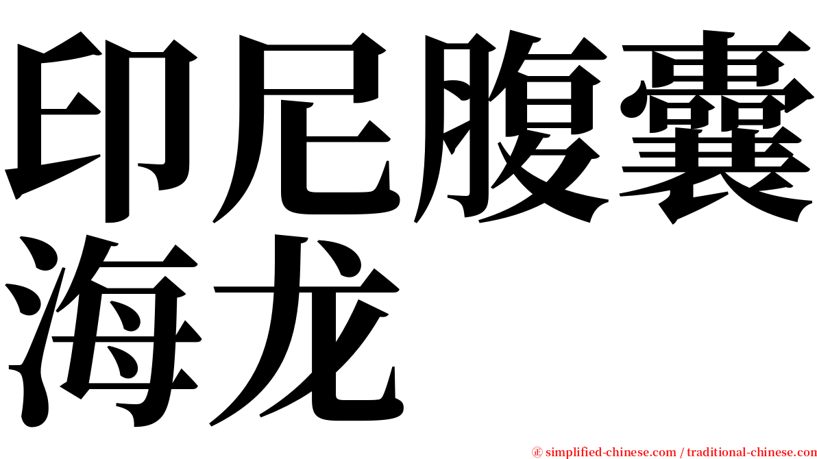 印尼腹囊海龙 serif font