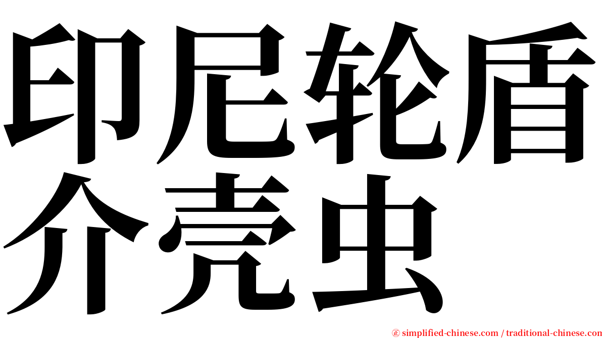 印尼轮盾介壳虫 serif font