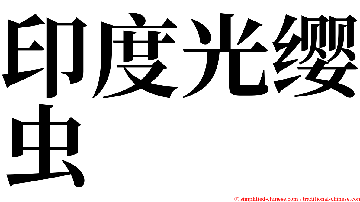 印度光缨虫 serif font