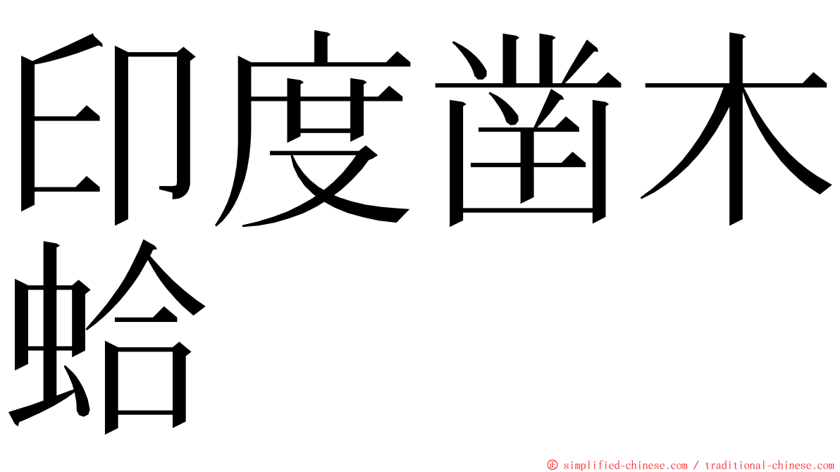 印度凿木蛤 ming font