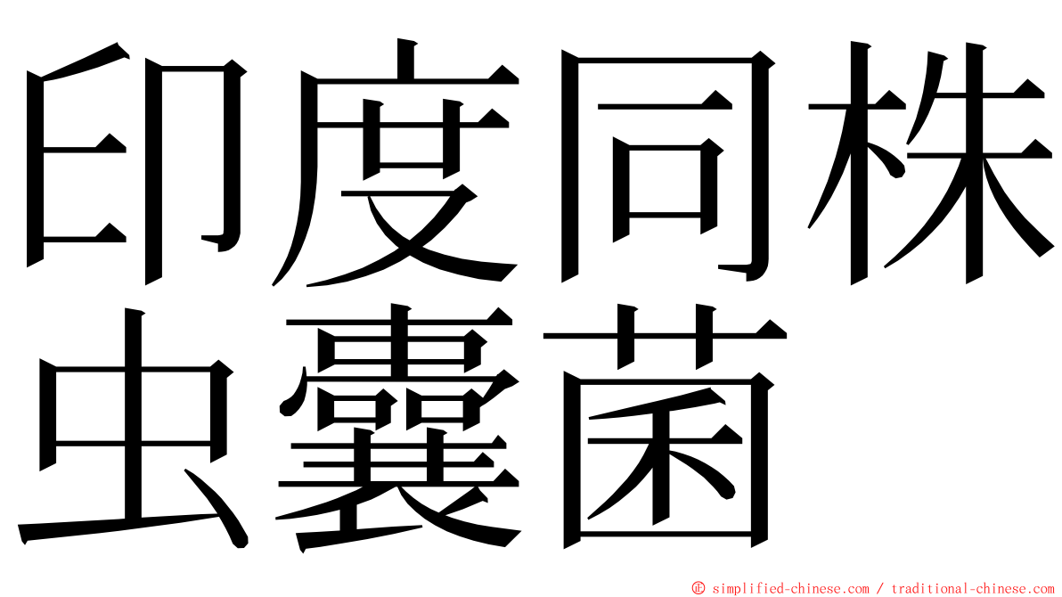 印度同株虫囊菌 ming font