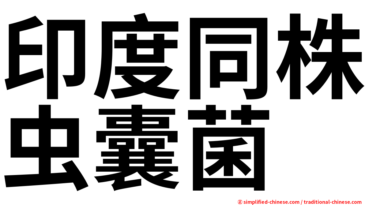 印度同株虫囊菌
