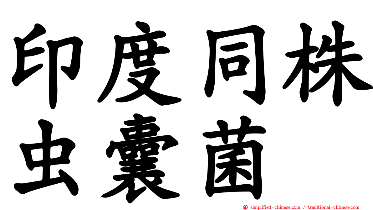 印度同株虫囊菌