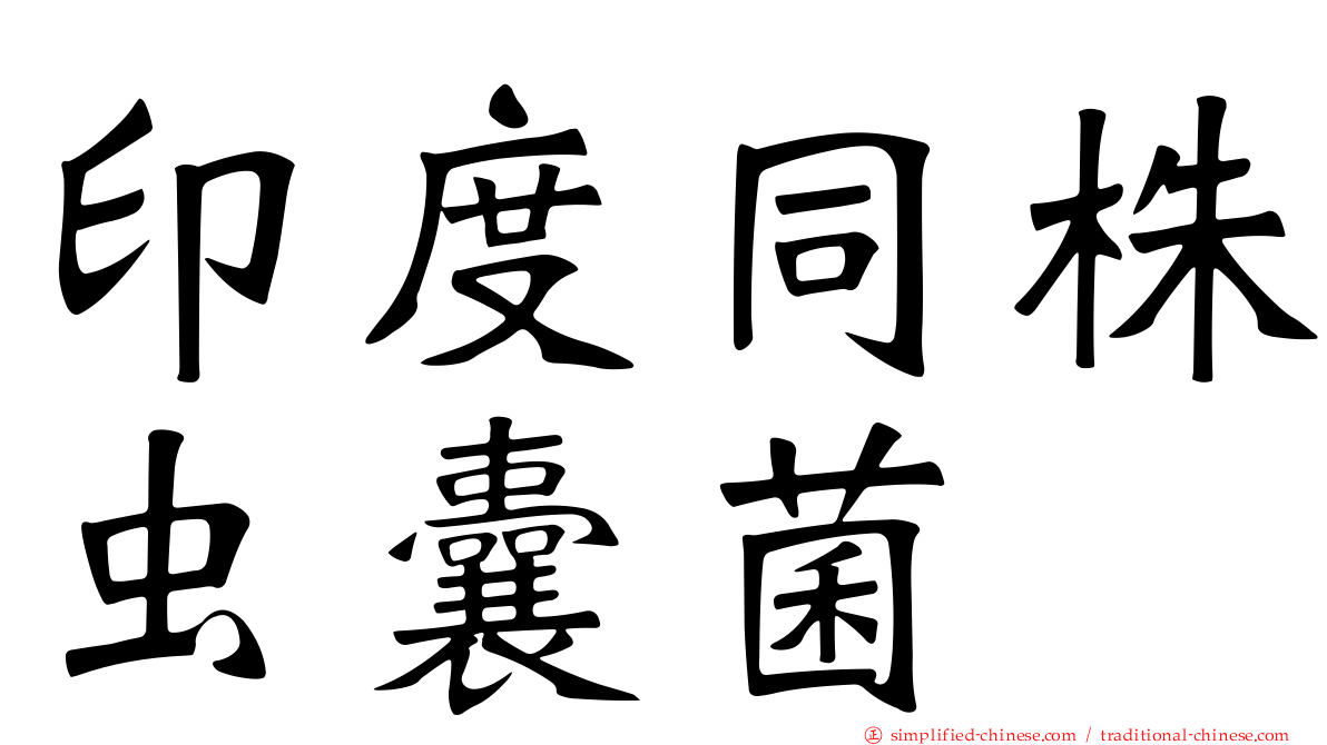 印度同株虫囊菌