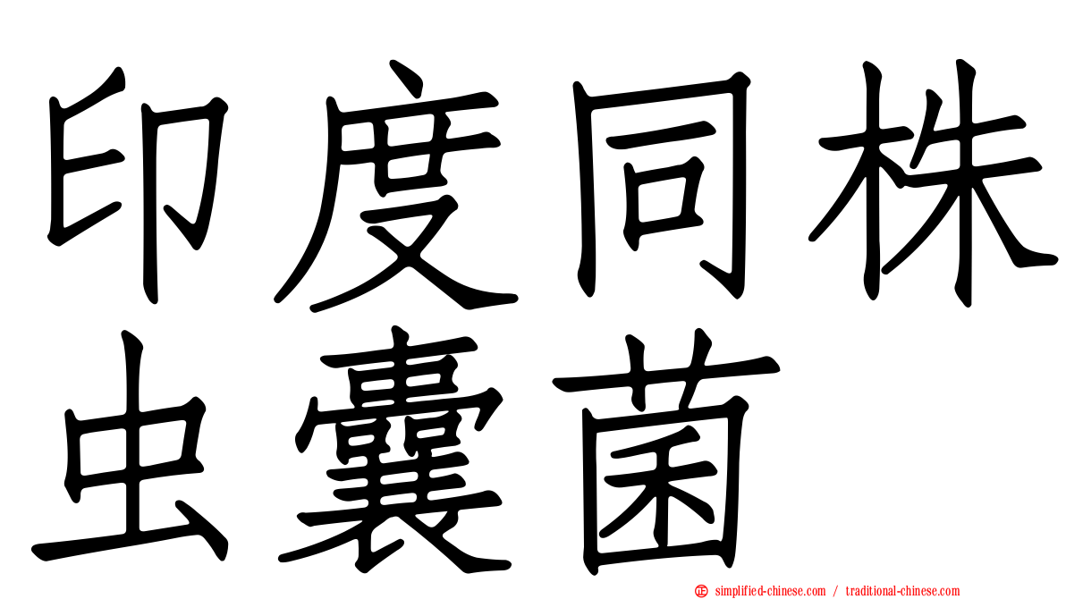 印度同株虫囊菌