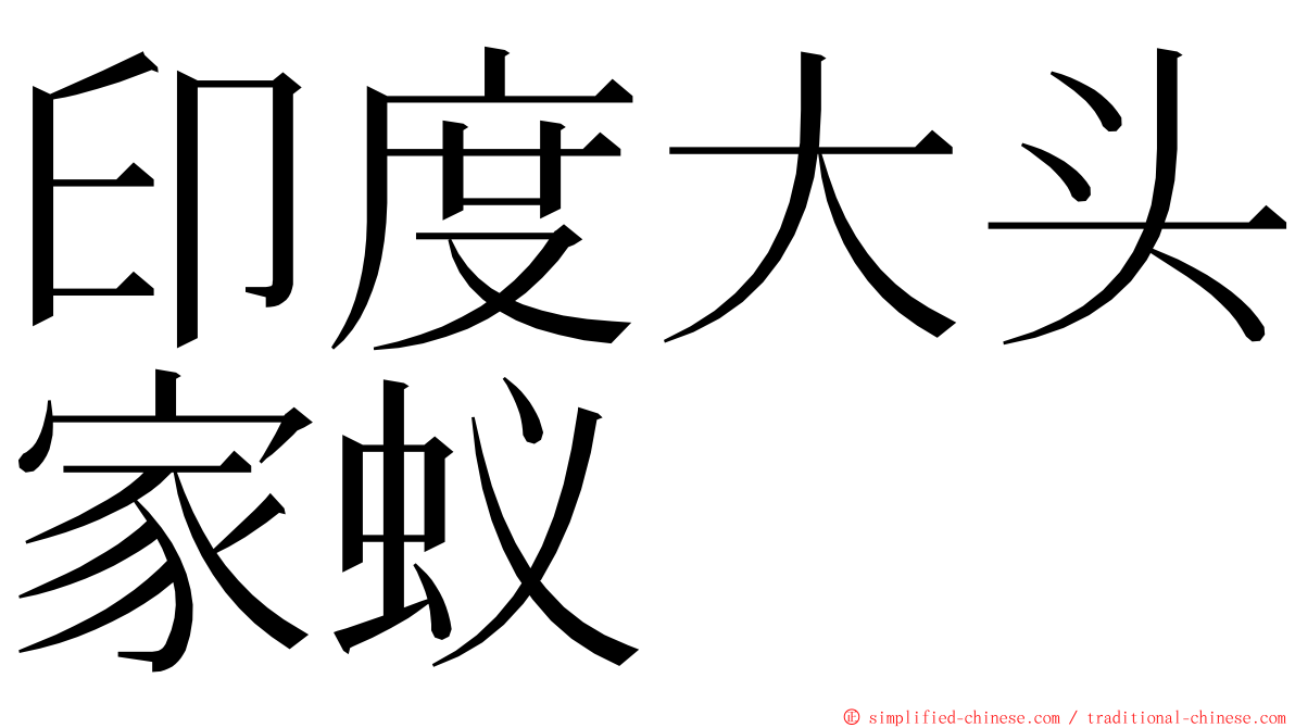 印度大头家蚁 ming font