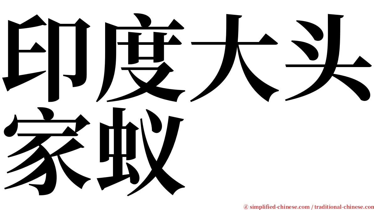 印度大头家蚁 serif font