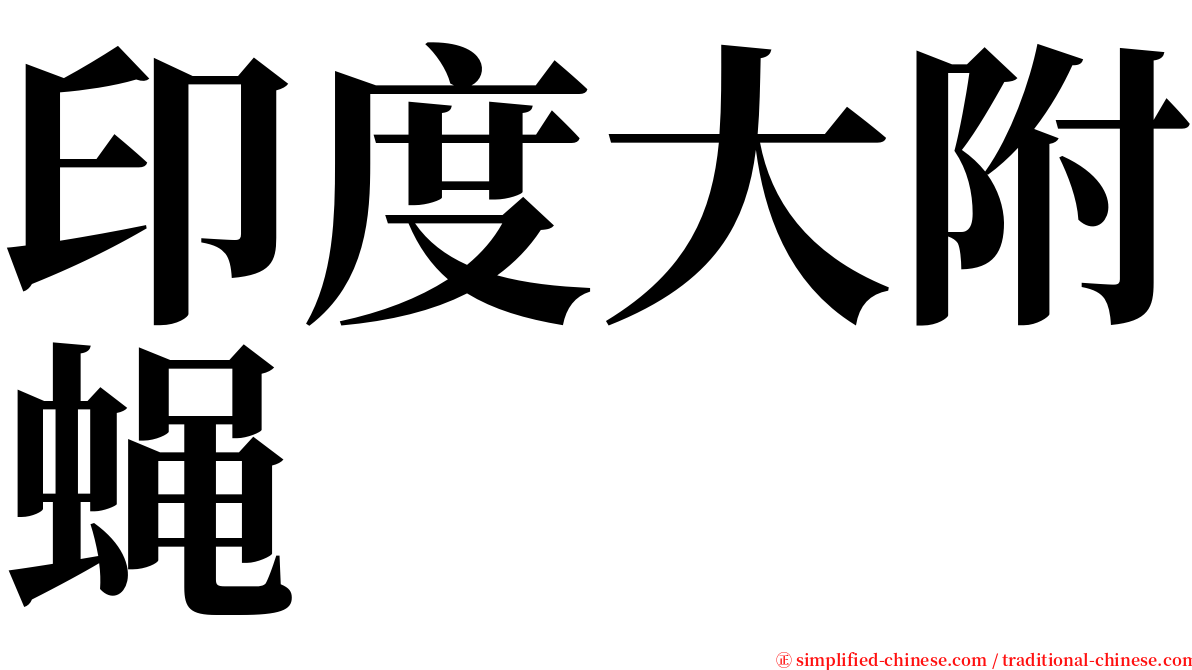 印度大附蝇 serif font