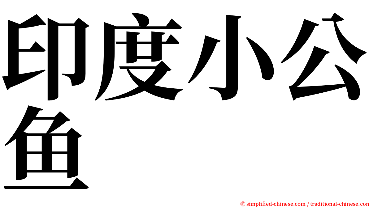 印度小公鱼 serif font