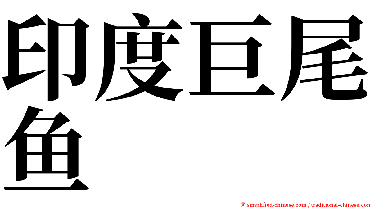 印度巨尾鱼 serif font