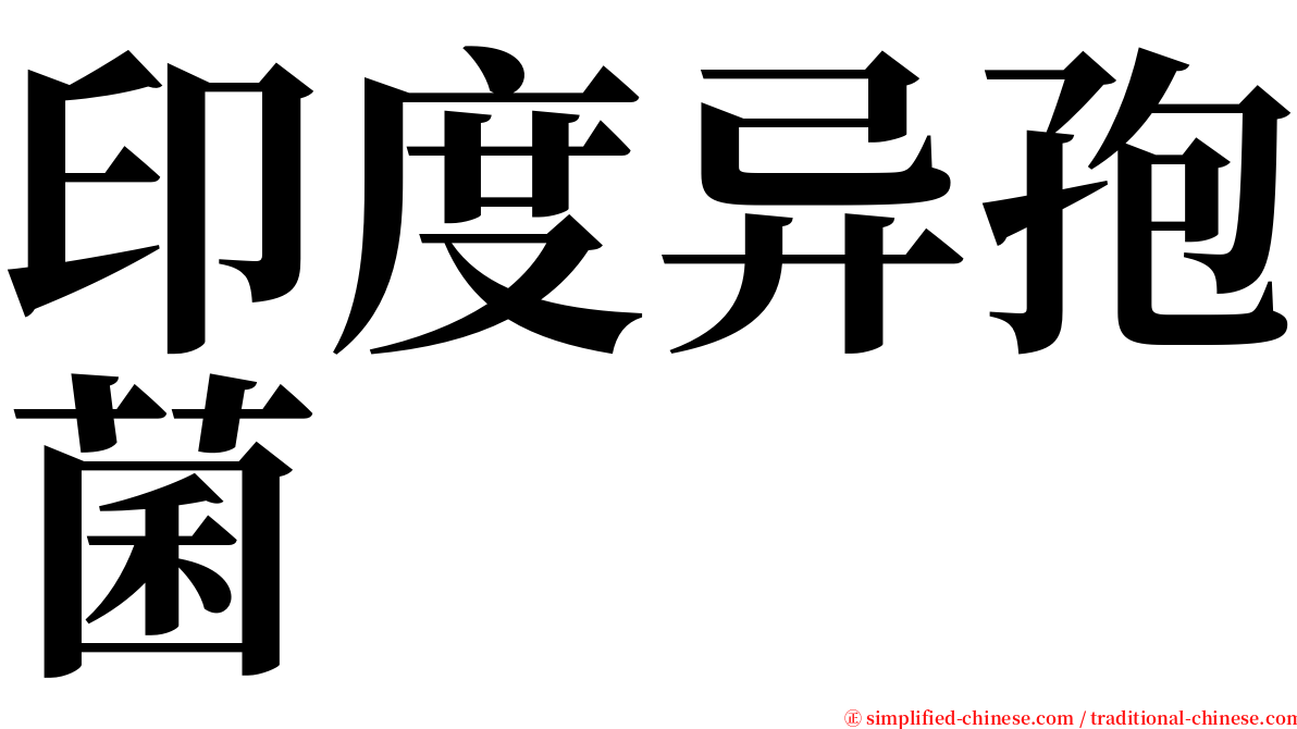 印度异孢菌 serif font