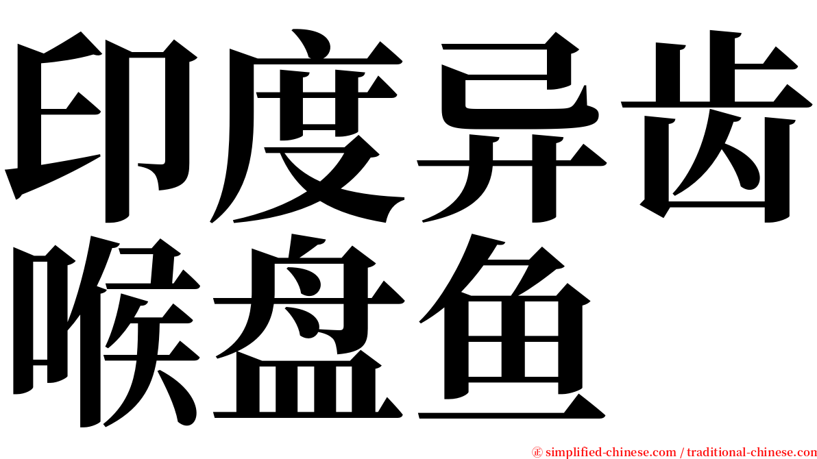 印度异齿喉盘鱼 serif font