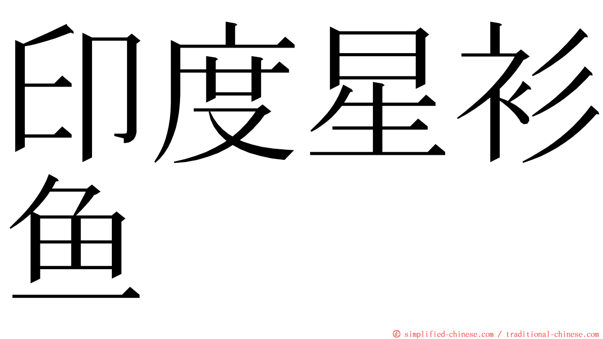 印度星衫鱼 ming font