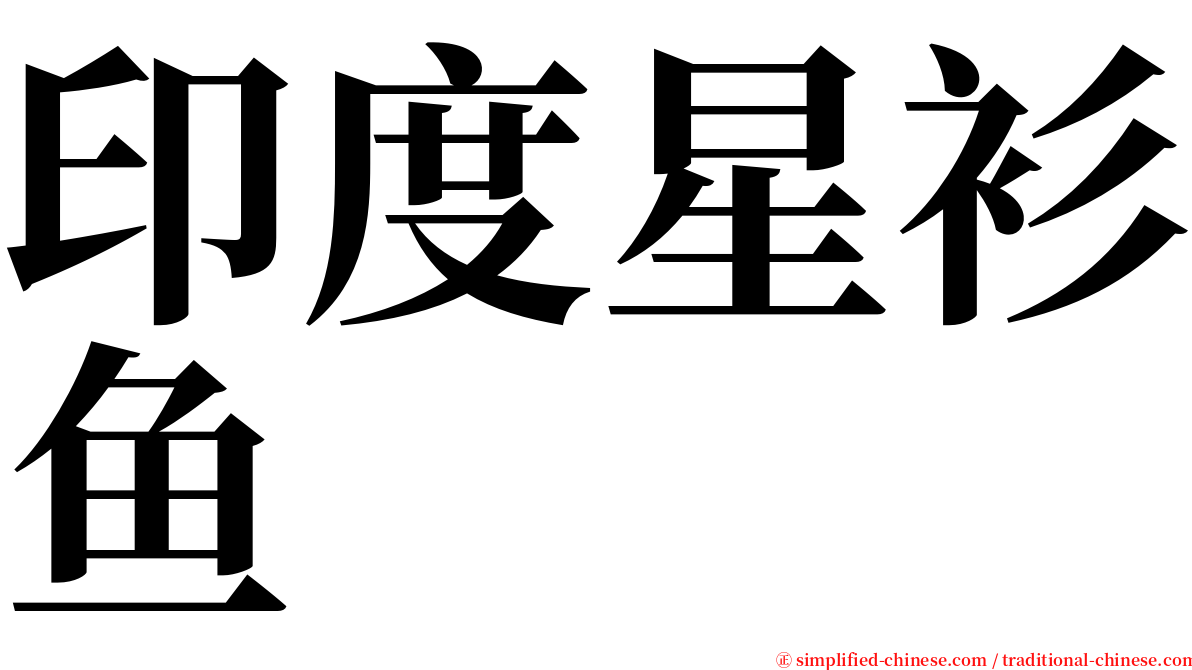 印度星衫鱼 serif font