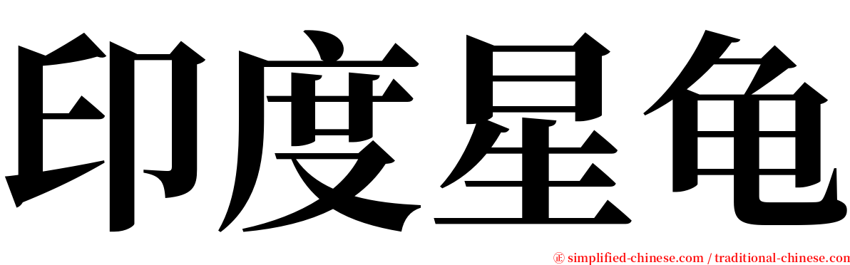 印度星龟 serif font